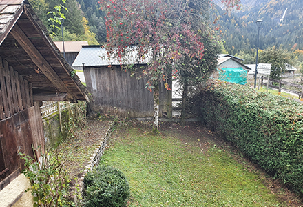 kukipegs property services garden hedges